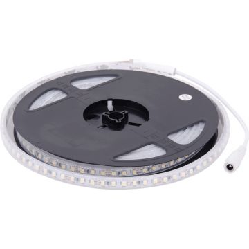 Banda LED 5x120 9.6W/m 6400K IP20 5m/Rola