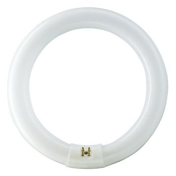 Tub Fluorescent Circular TL-E 22W, 865