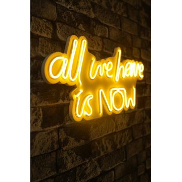 Lampa Neon All We Have Is Now, Roz